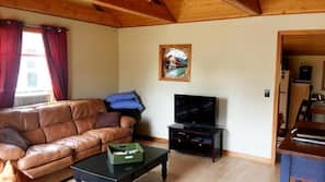 TV, DVD player, books, music library