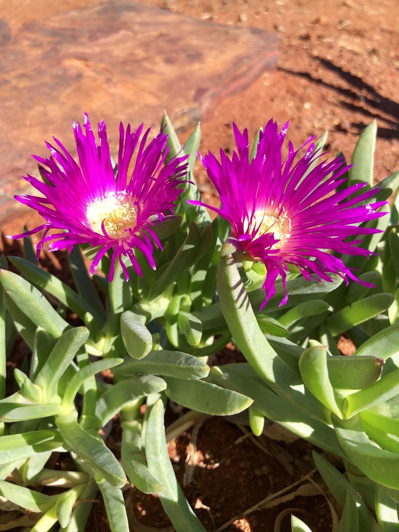 The Breakaway Sandstone- Short & Long Term Holiday Accommodation. Pets Welcome!