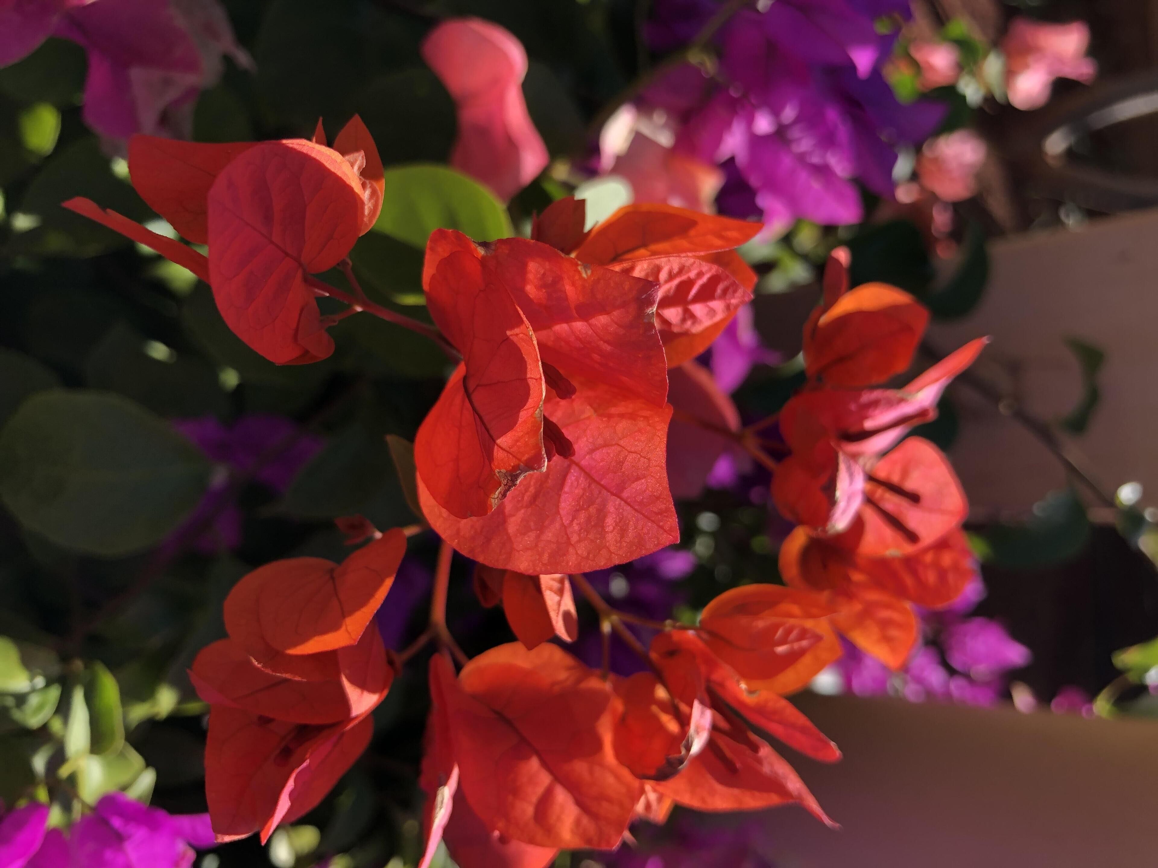 The Breakaway Sandstone- Short & Long Term Holiday Accommodation. Pets Welcome!