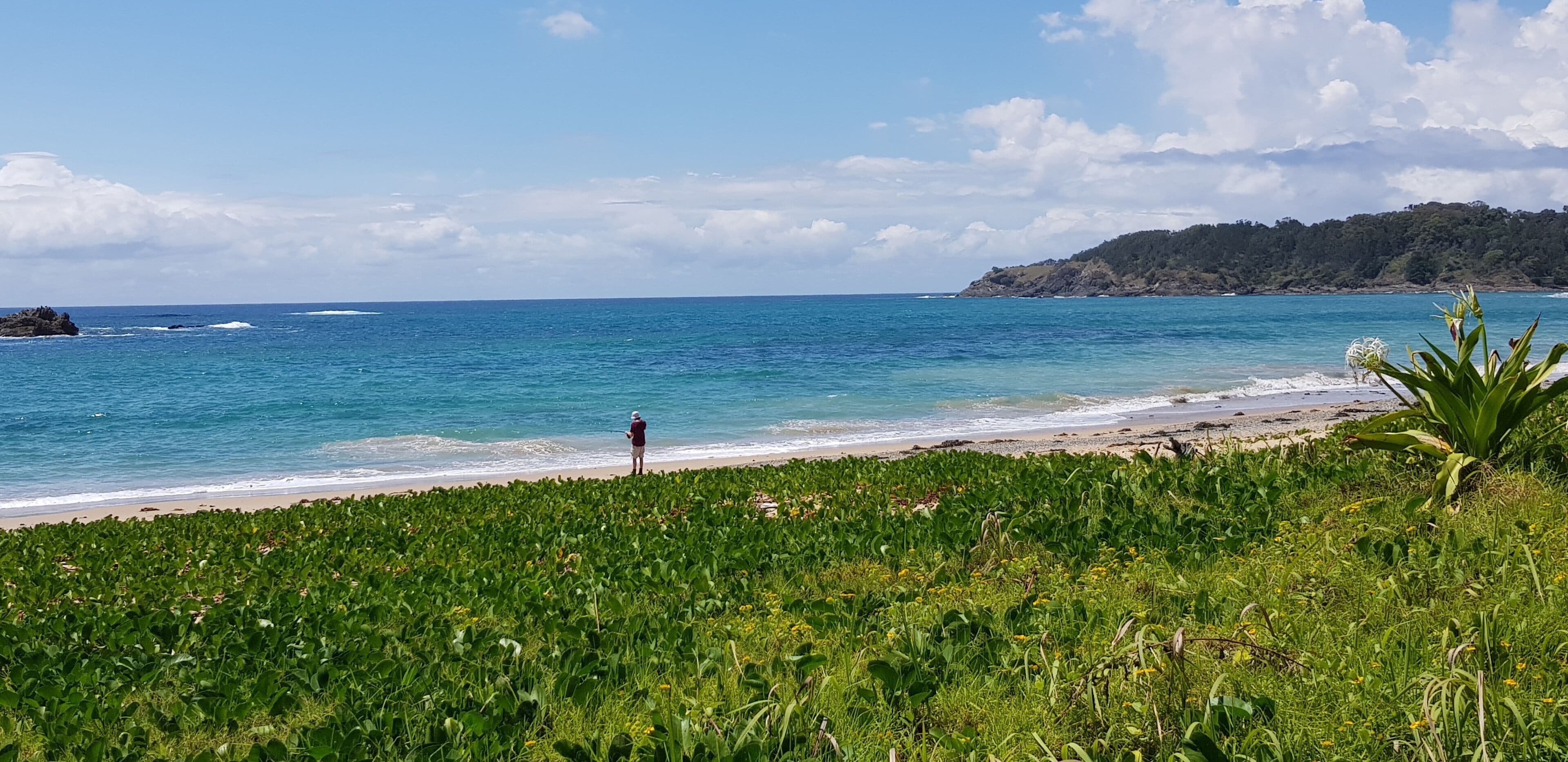 Koco Palms Guest Suite- Korora, Coffs Harbour- 5 Mins Walk to the Korora Beach