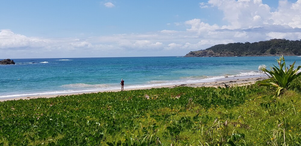 Koco Palms Guest Suite Korora Coffs Harbour 5 Mins Walk To The