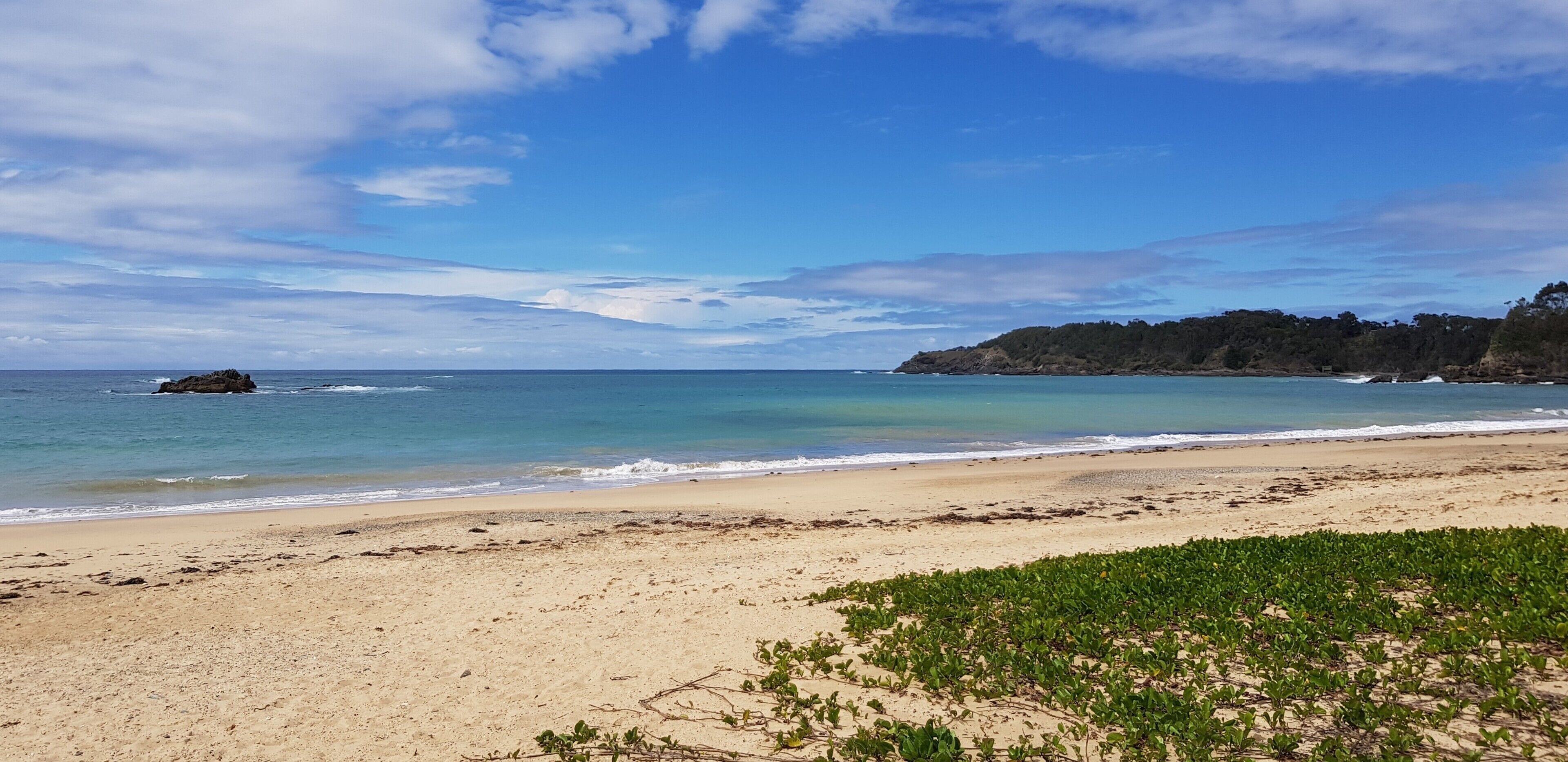 Koco Palms Guest Suite- Korora, Coffs Harbour- 5 Mins Walk to the Korora Beach