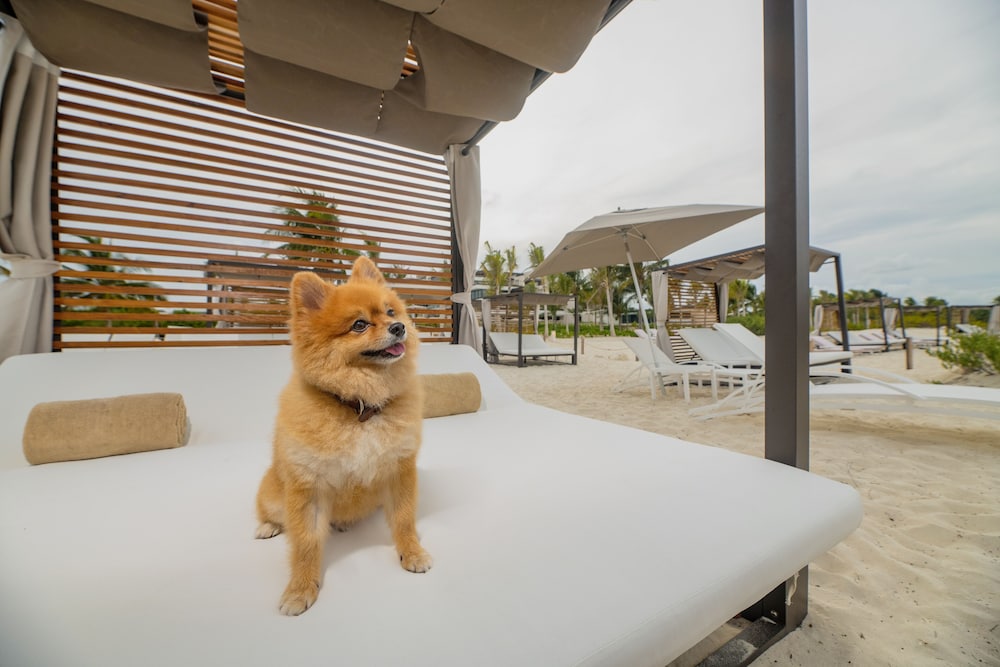 Photo - Atelier Playa Mujeres- Adults Only - All Inclusive Resort