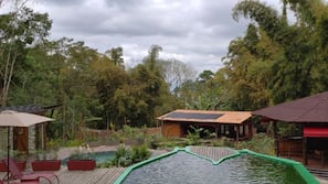 Outdoor pool, pool umbrellas, pool loungers
