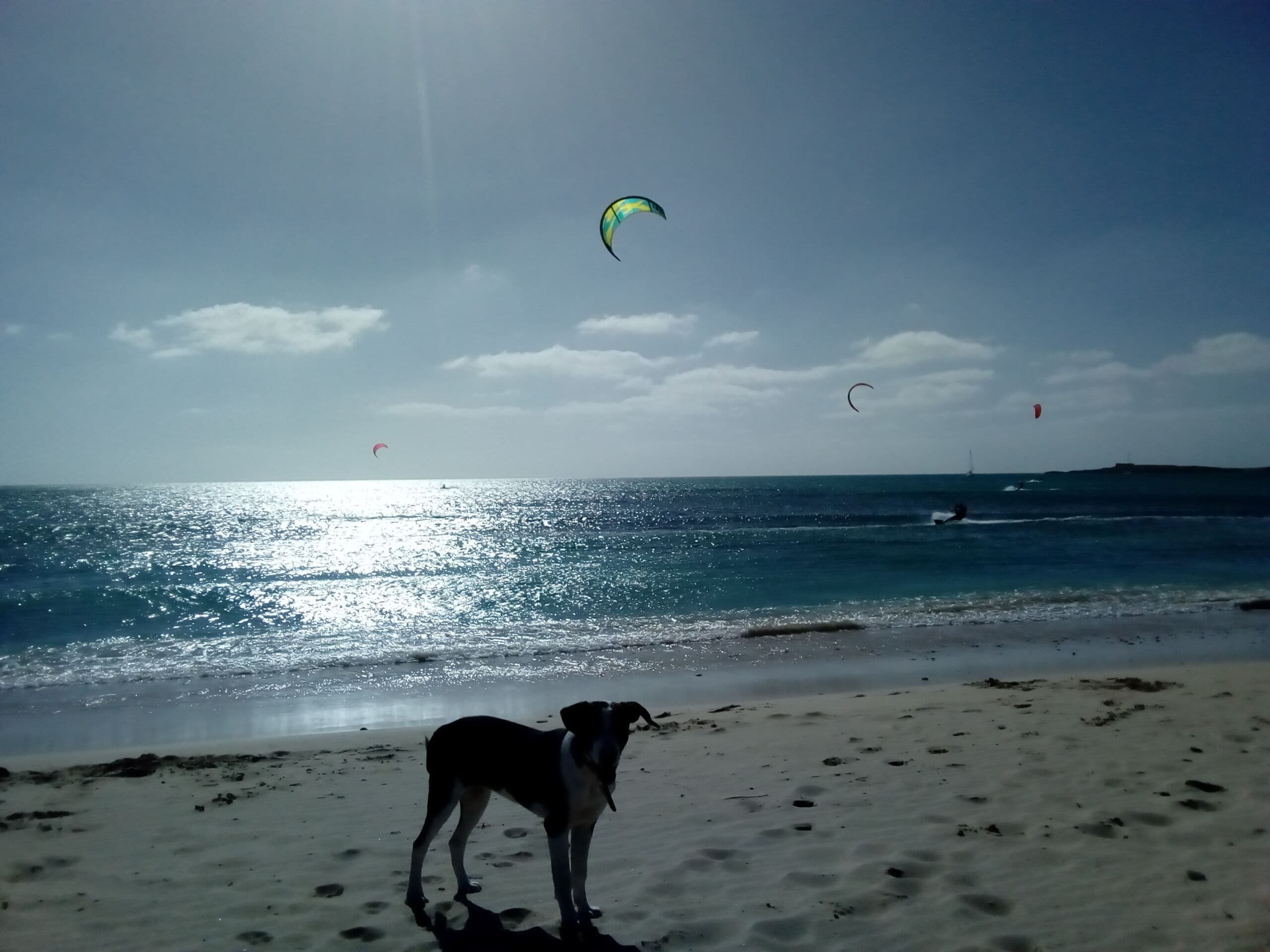 Maison Fenix in Boa Vista, Cape Verde