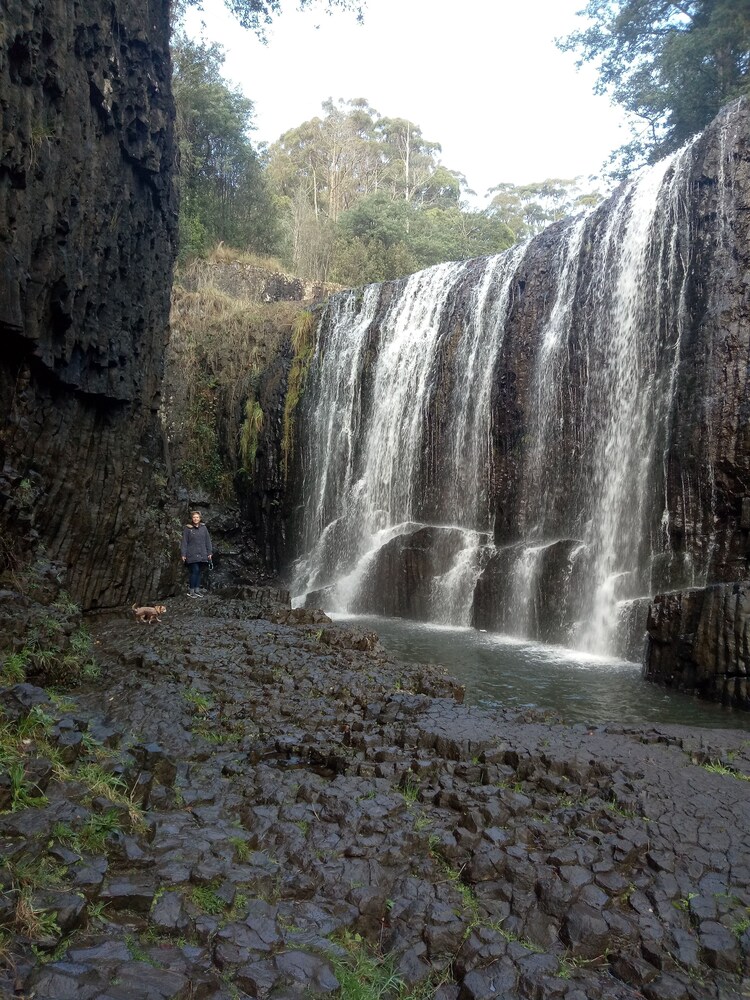 Guide Falls Cottage