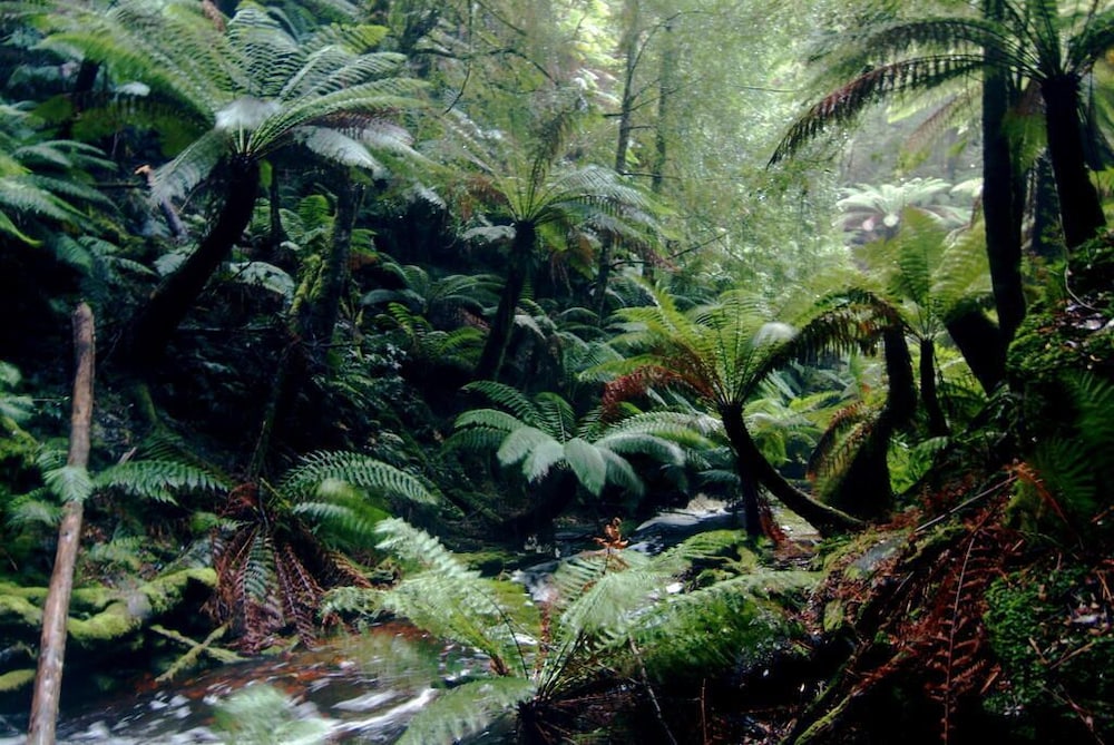Corinna Wilderness Experience