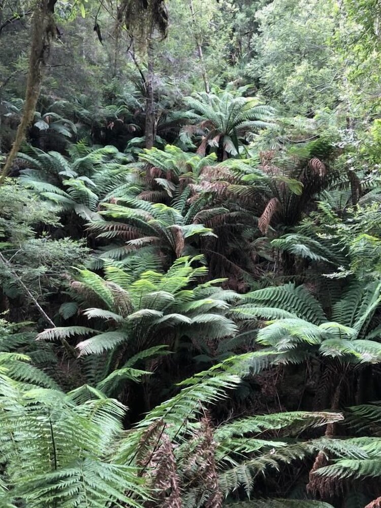 Corinna Wilderness Experience