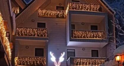 Borjomi Underwood Hotel