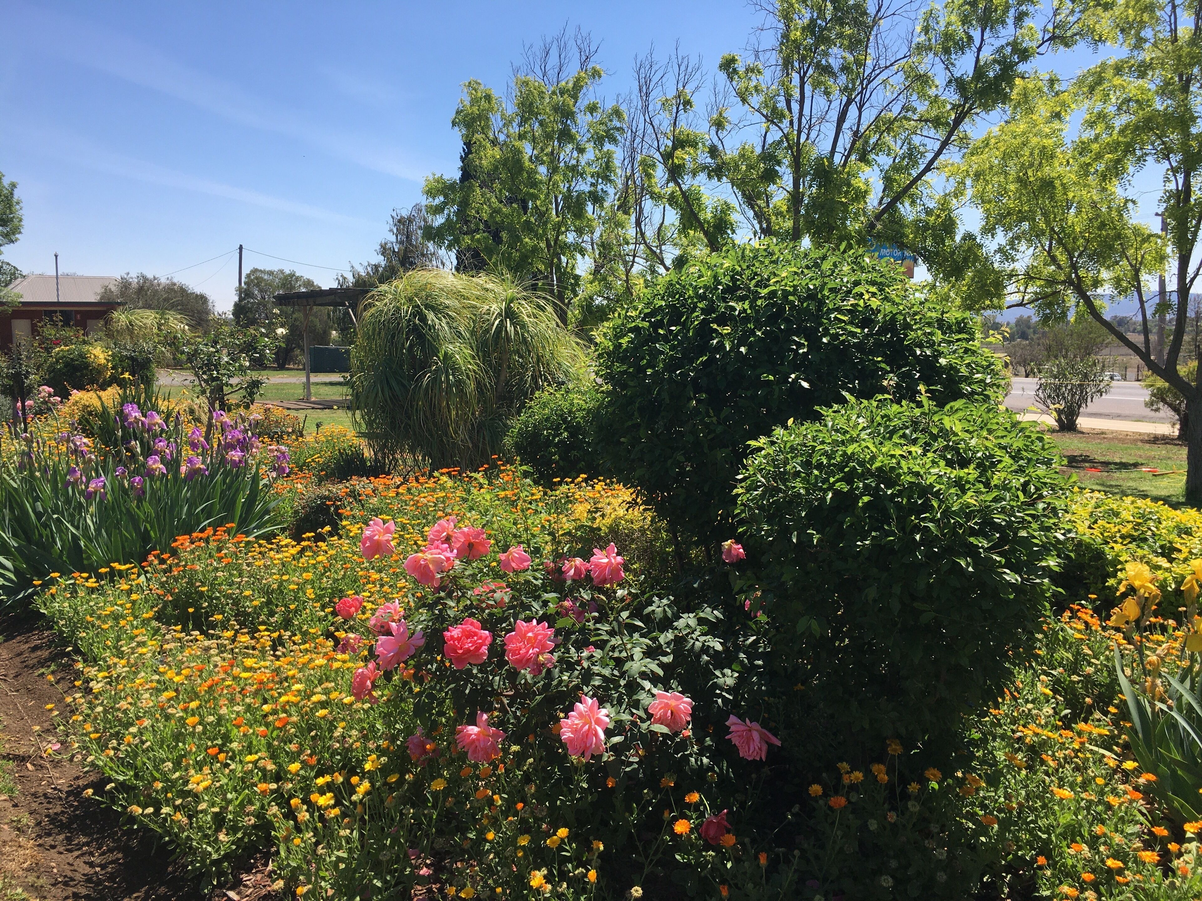 Quirindi Sunflower Motor Inn