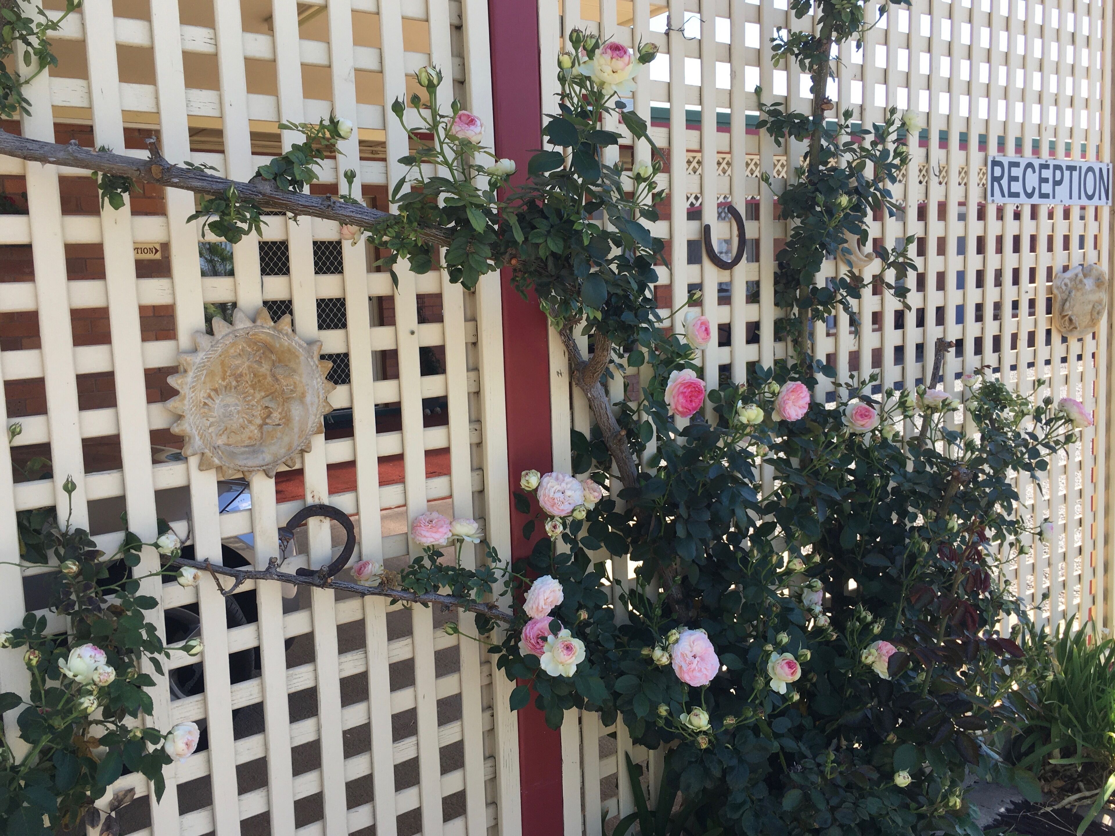 Quirindi Sunflower Motor Inn