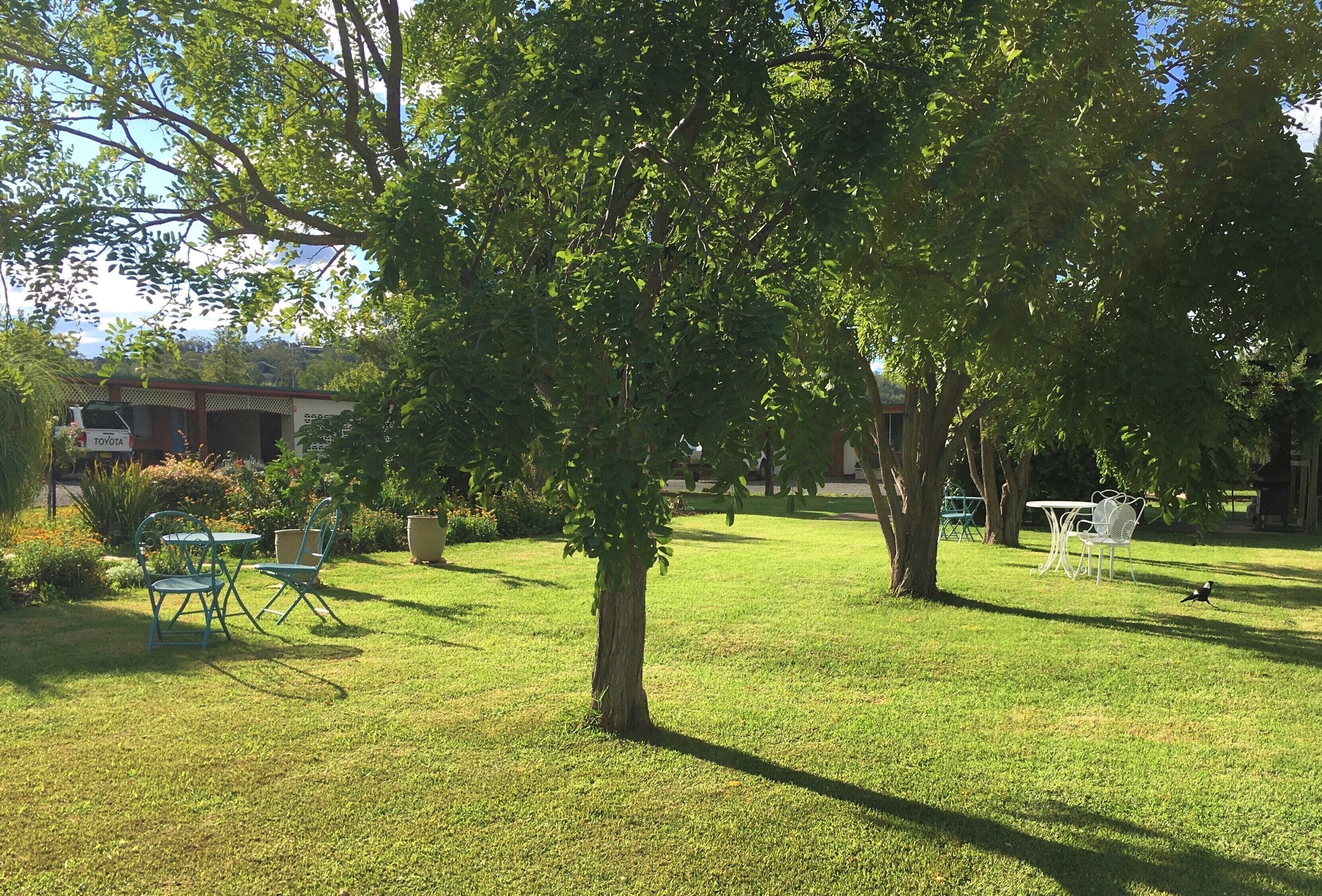 Quirindi Sunflower Motor Inn