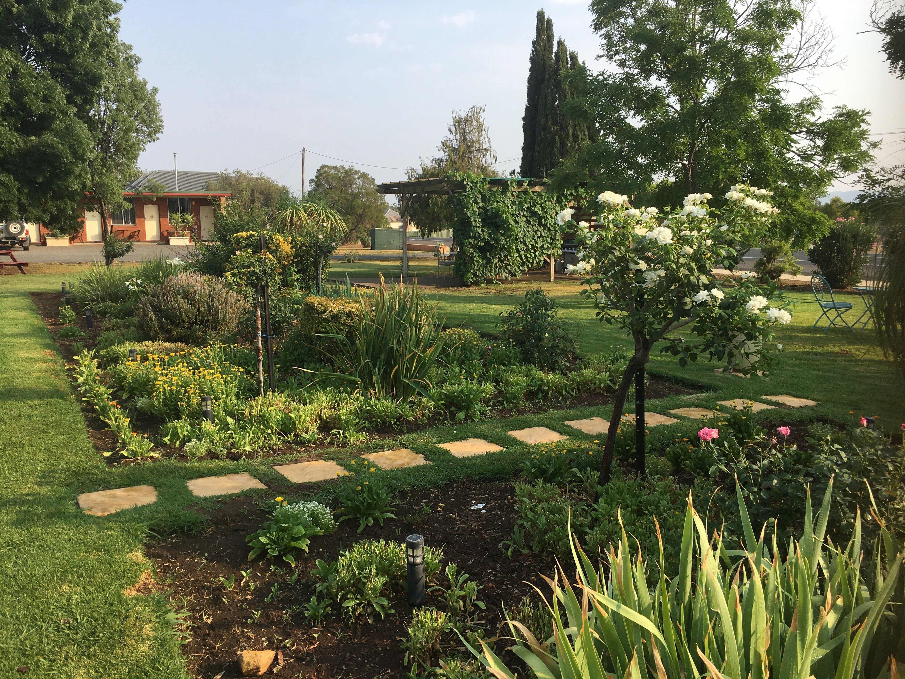 Quirindi Sunflower Motor Inn