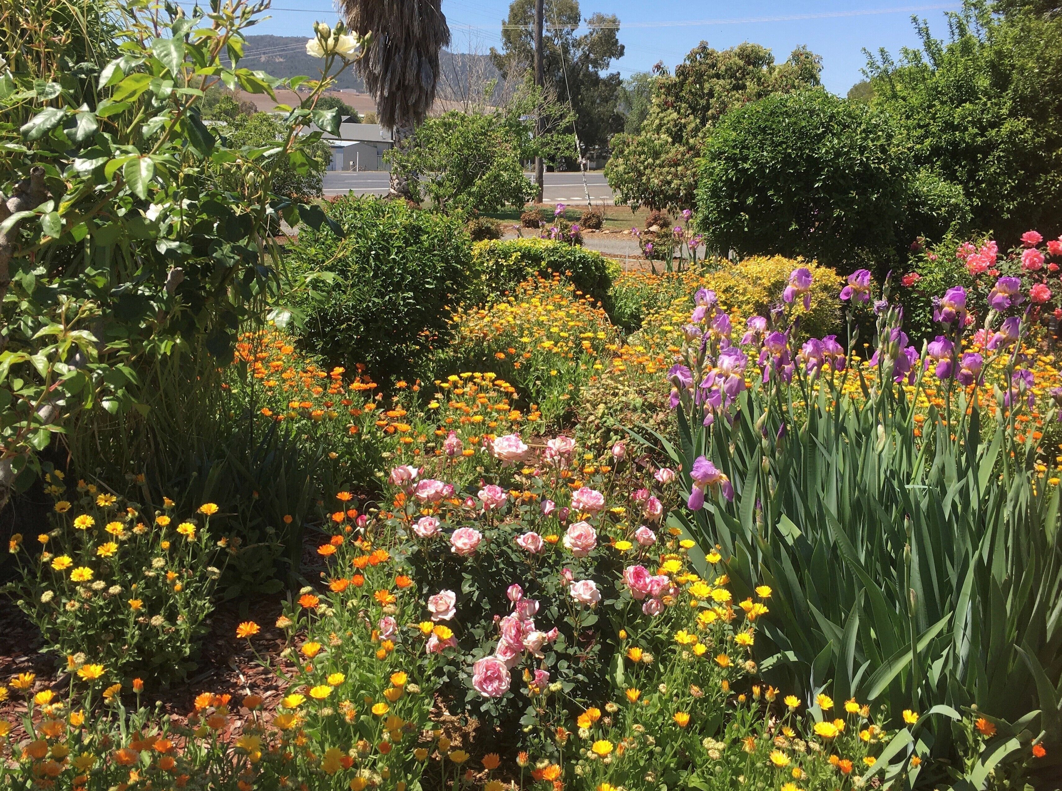 Quirindi Sunflower Motor Inn