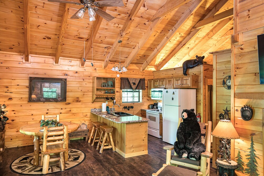 Cozy Bear- In the smoky mountains!