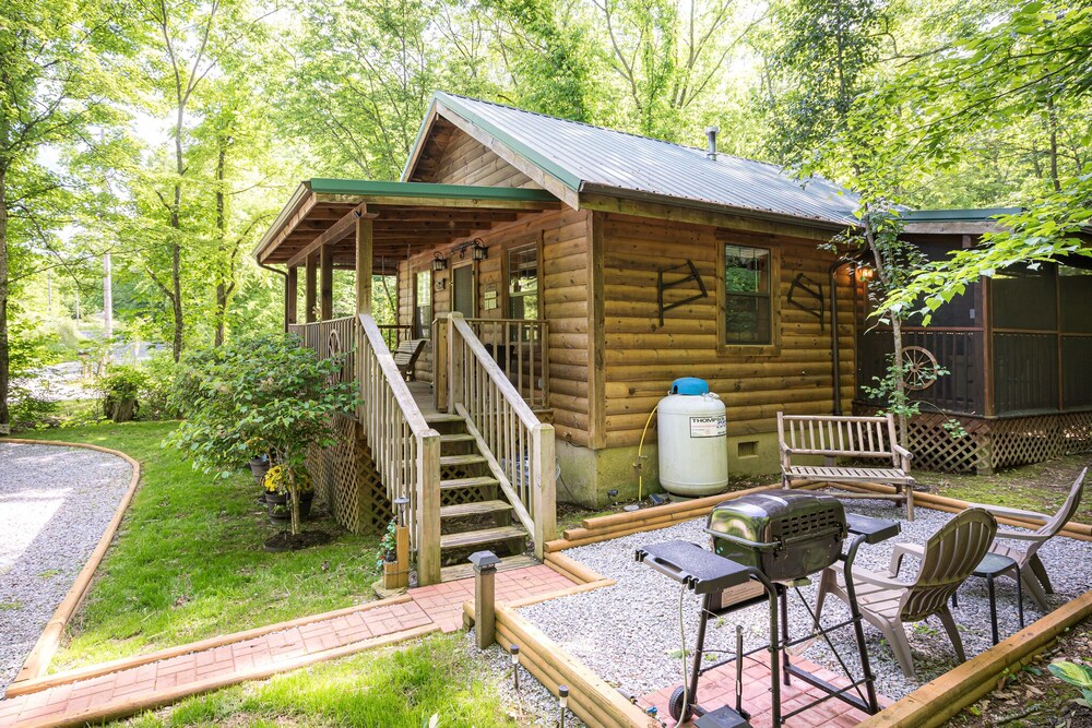 Cozy Bear- In the smoky mountains!