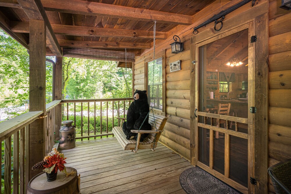 Cozy Bear- In the smoky mountains!