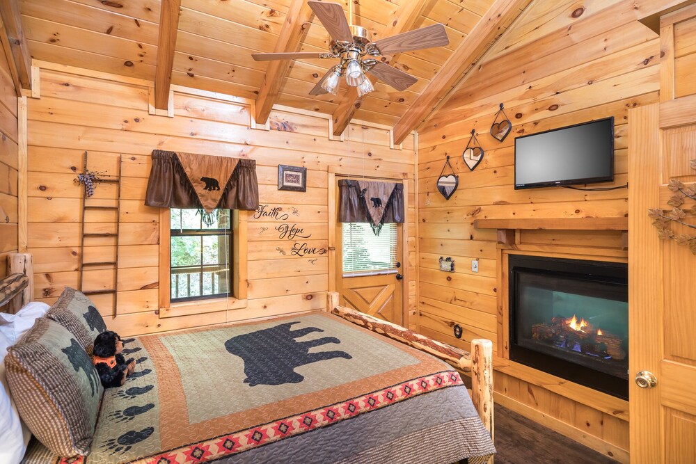 Cozy Bear- In the smoky mountains!