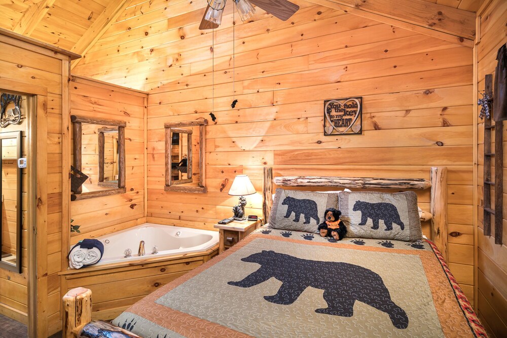 Cozy Bear- In the smoky mountains!