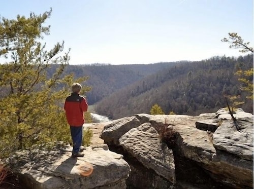 Best Cabins In Strunk For 2020 Find Cheap 67 Cabins Rentals