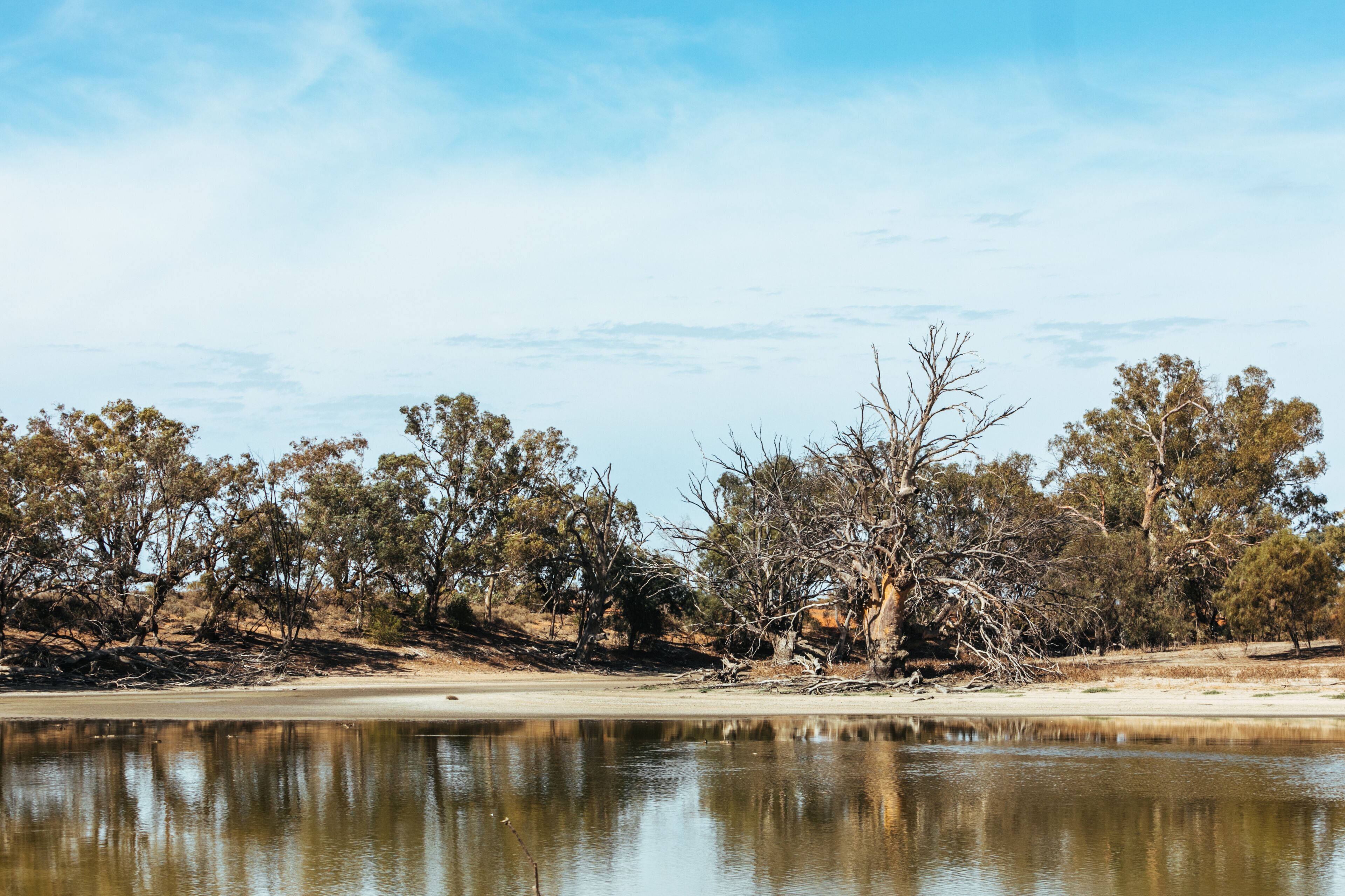 Warrawong on the Darling