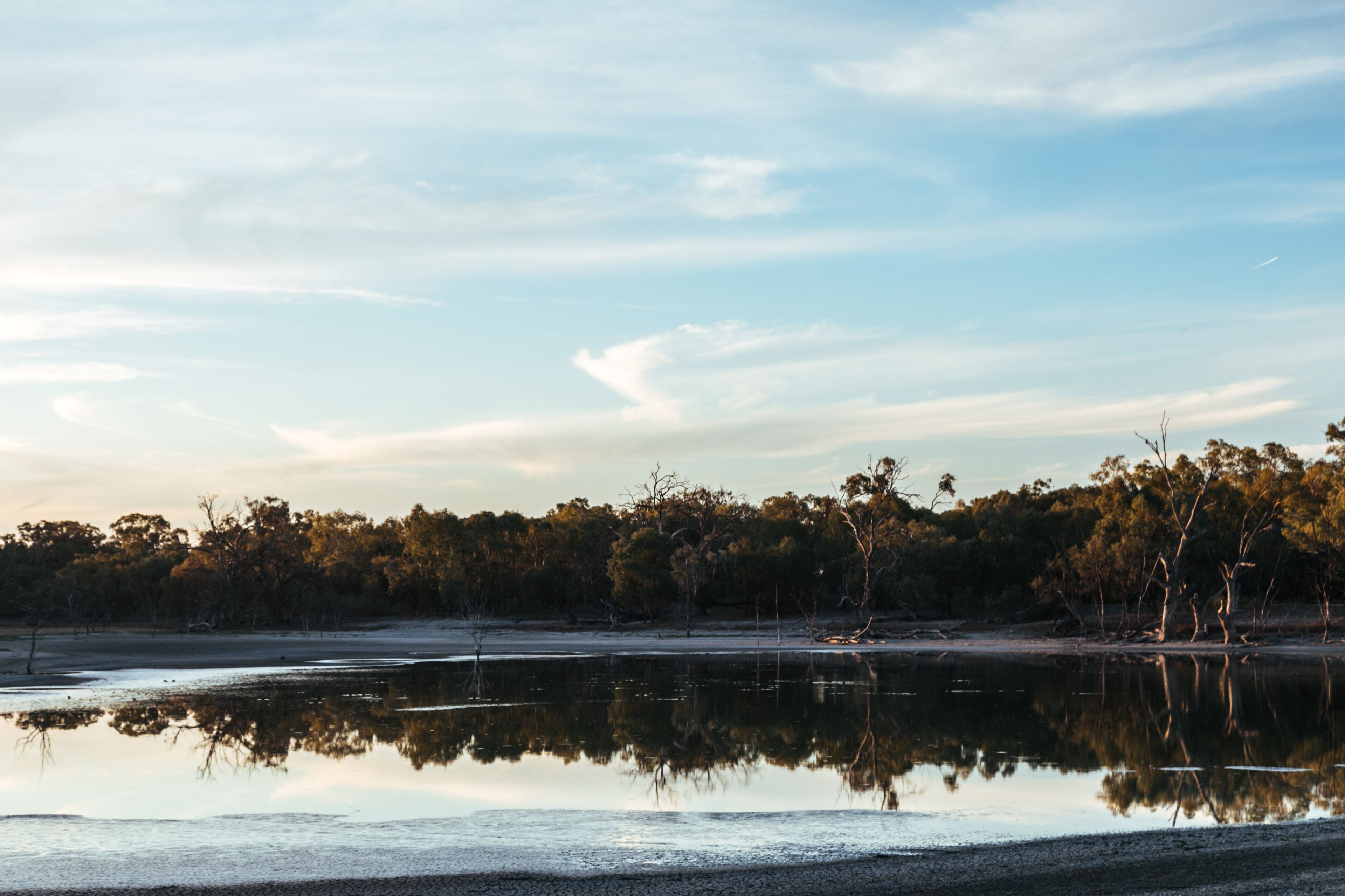 Warrawong on the Darling