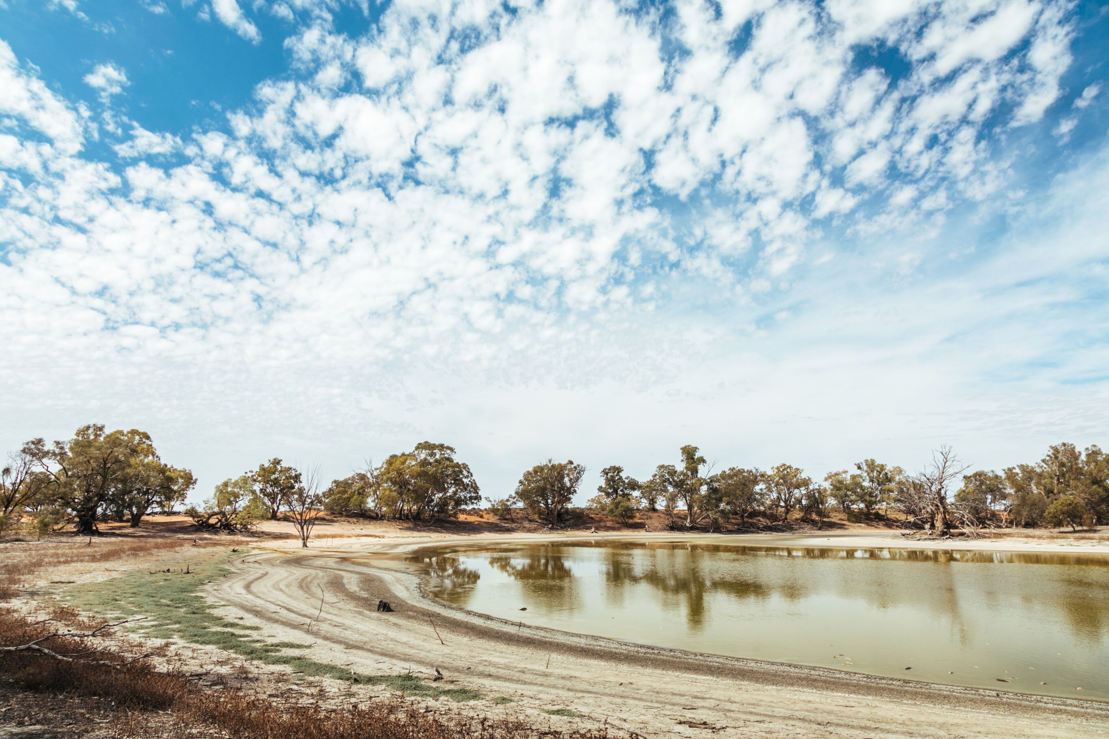 Warrawong on the Darling