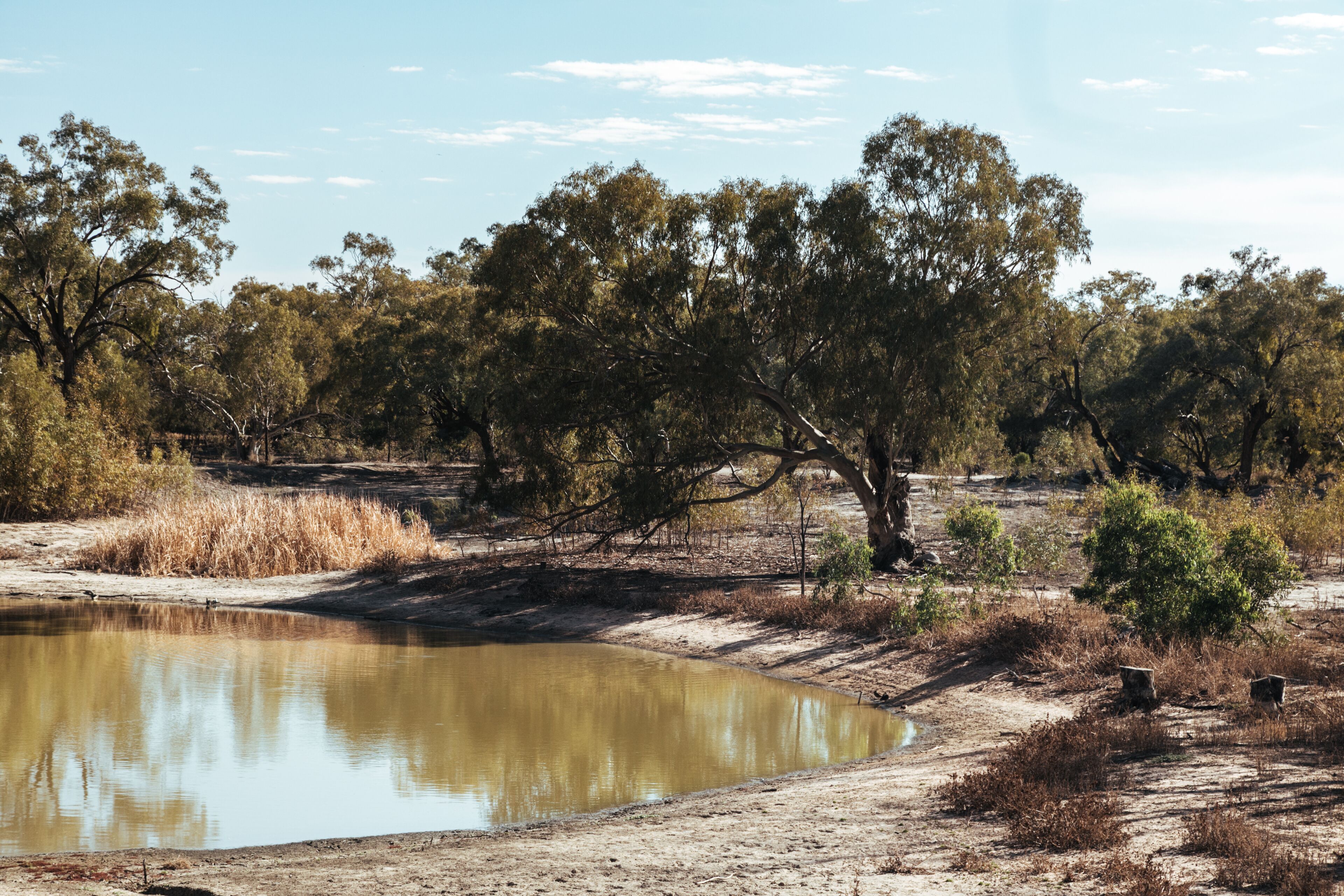 Warrawong on the Darling