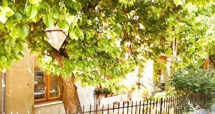 B&B Li Criasgi