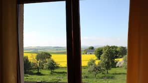Ausblick vom Zimmer