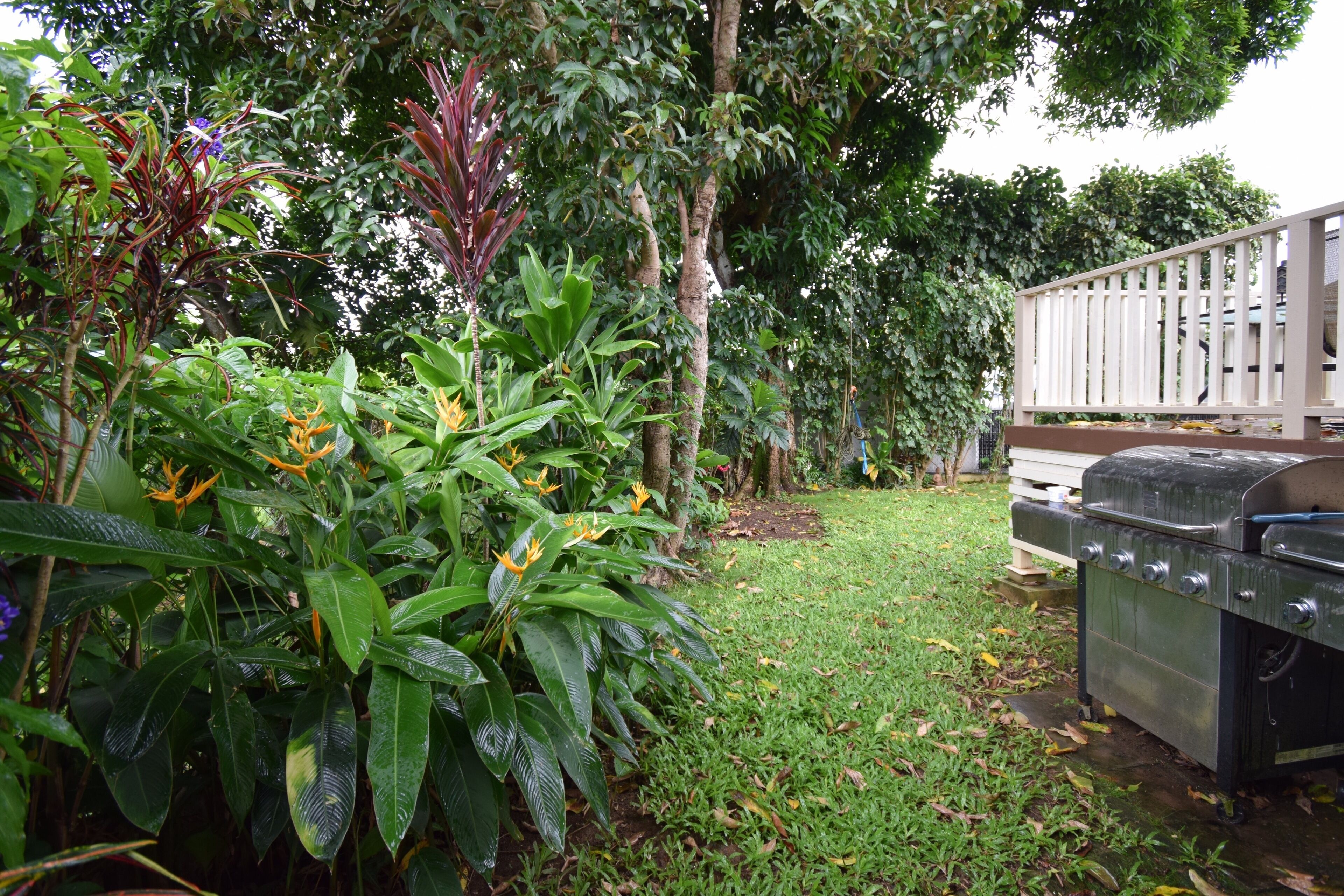 Secluded Garden Home With A/c, Laundry, Grill, Parking, HBO in Kaneohe, United States