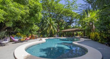 Libelula Lounge & Lodgings