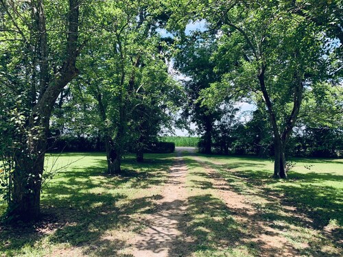 Best Cabins In Natchez For 2020 Find Cheap 71 Cabins Rentals