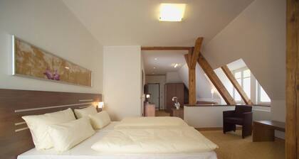 Hotel Brühlerhöhe Erfurt