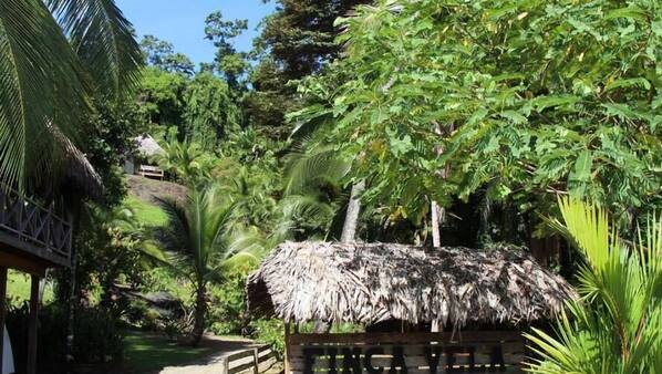 Finca vela lodge in Isla Pastores, Panama | Expedia