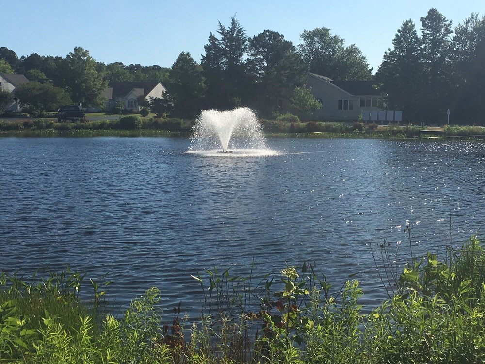 Beautiful & Spacious!!! 