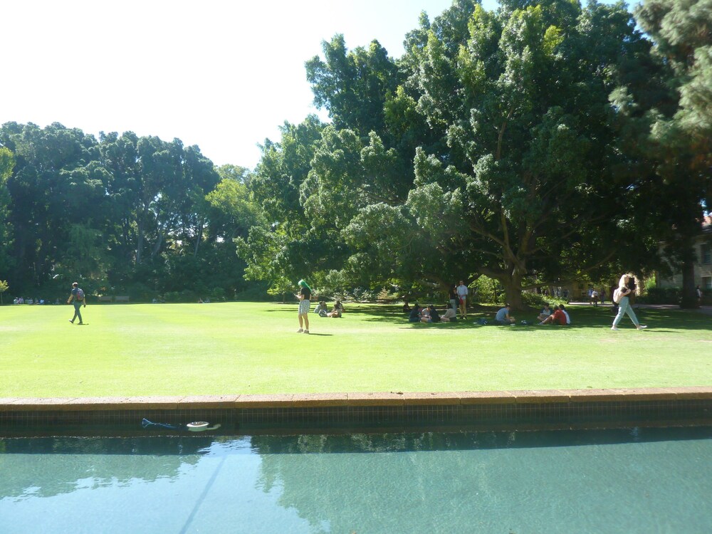 A Classical Relaxation Resort for a family of 4 -6 in Christmas and/or New year