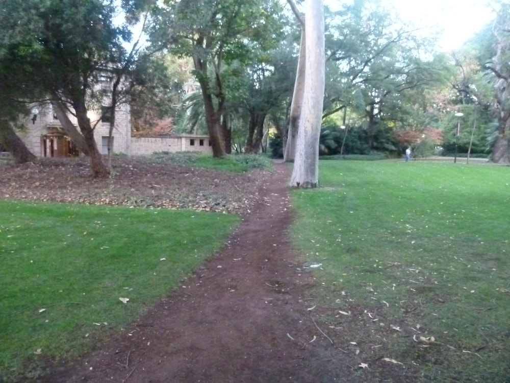 A Classical Relaxation Resort for a family of 4 -6 in Christmas and/or New year