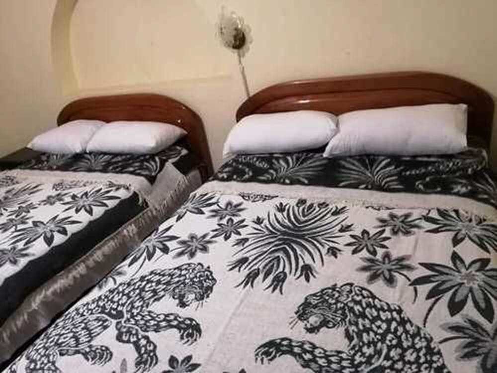 Foto - The Travel House