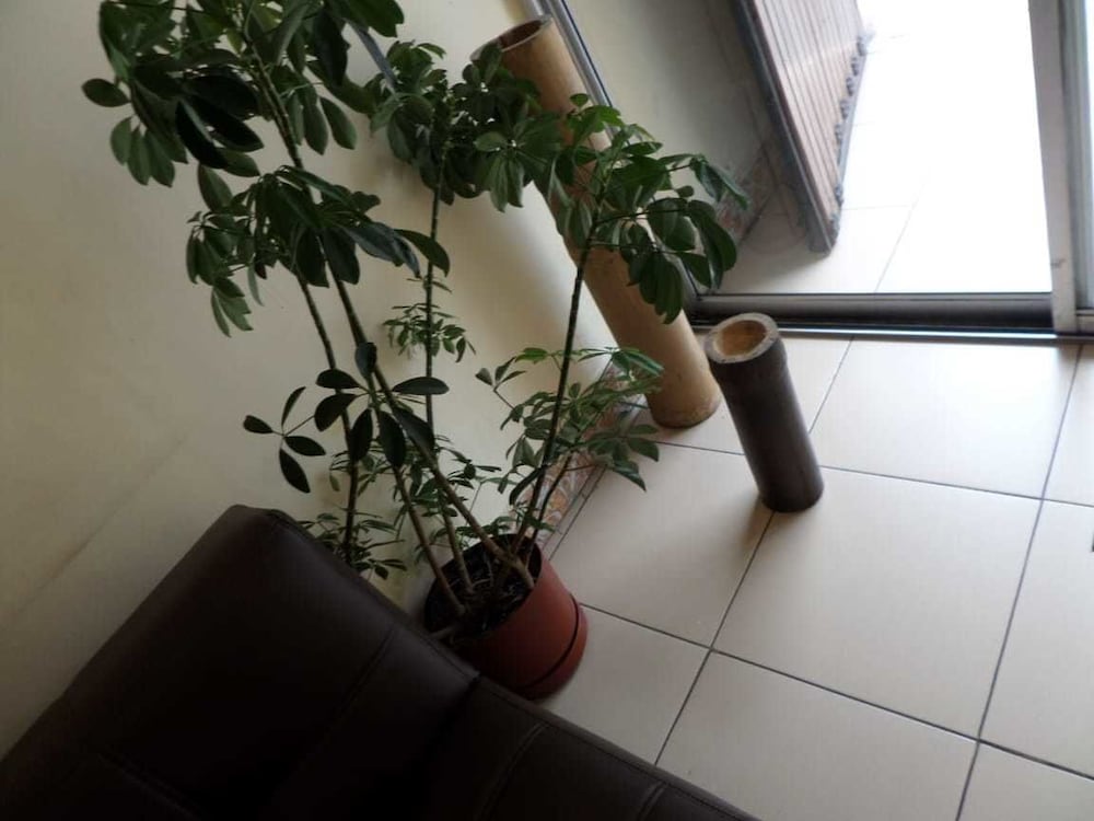 Foto - The Travel House