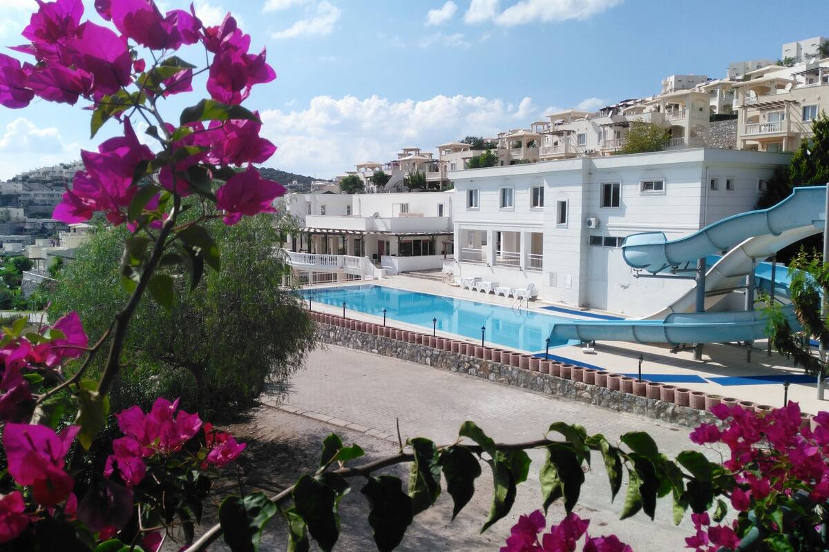 flamingo country club apt to daily