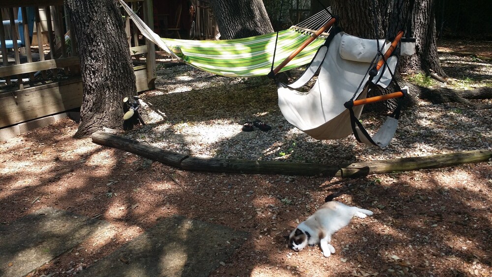 Best Central Location/Private Urban Oasis/ Travis Heights Near SoCo & Downtown