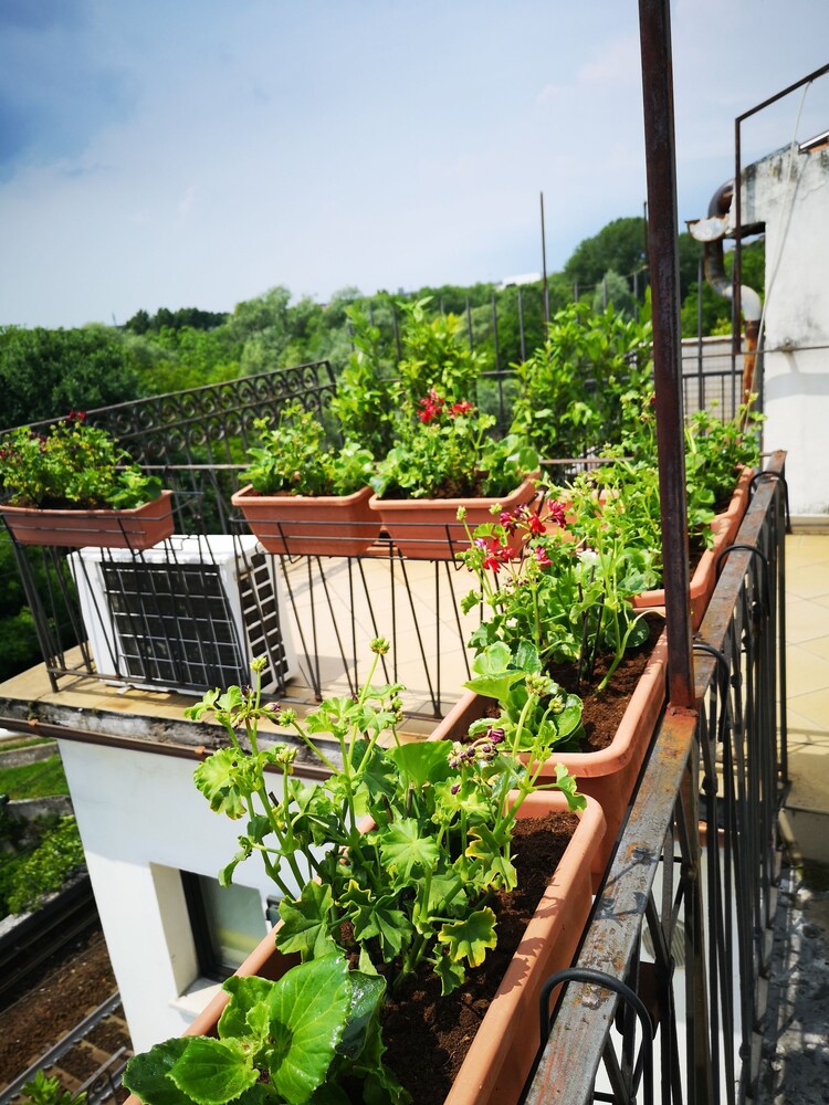 Jia Xin Sas Verona 2019 Hotel Prices Expediacouk - 