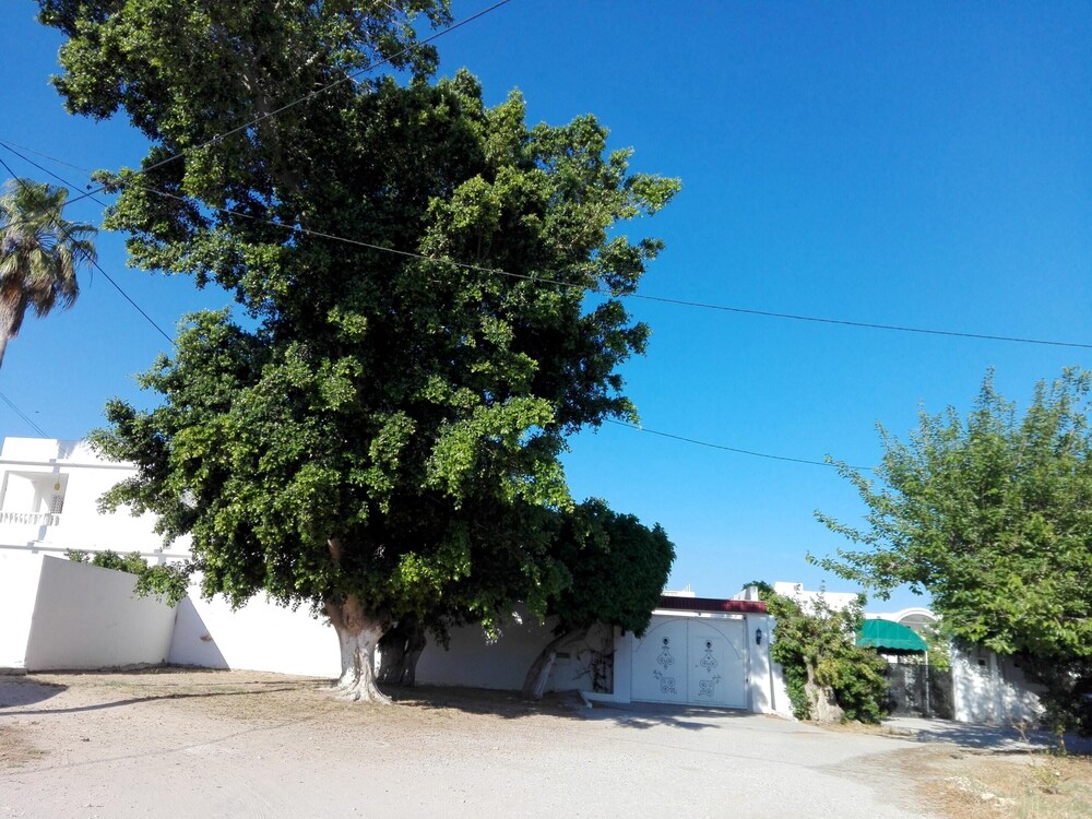 Photo - Elegant villa in Hammamet with year-round private pool