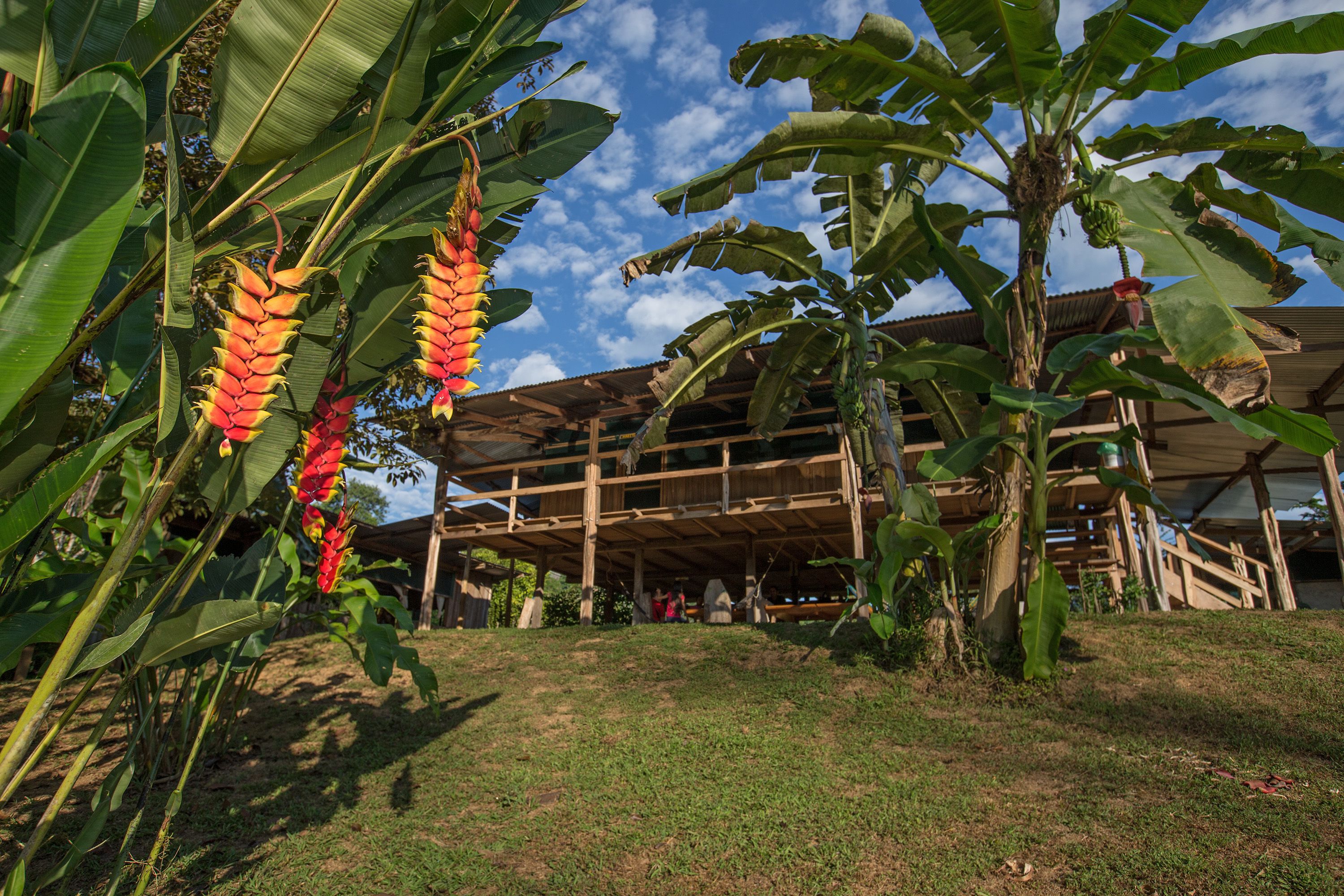 Albergue La Laguna Corcovado Park in Puerto Jimenez in Puerto Jimenez, Costa Rica