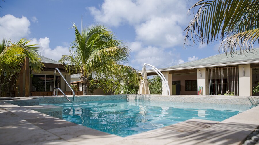 Little Jungle Apartments Aruba