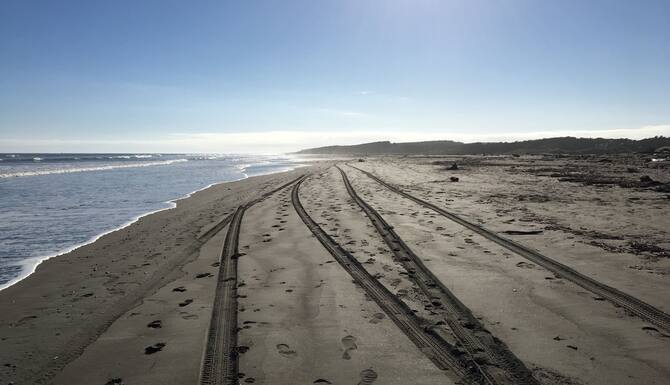 リトルグレイコテージ 大滝ビーチからすぐのモダンなホテル 口コミ 部屋写真 料金 お得情報 エクスペディア リトルグレイコテージ 大滝ビーチからすぐのモダンなホテル 口コミ 部屋写真 料金 お得情報 エクスペディア