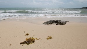 Plage, sable blanc, serviettes de plage