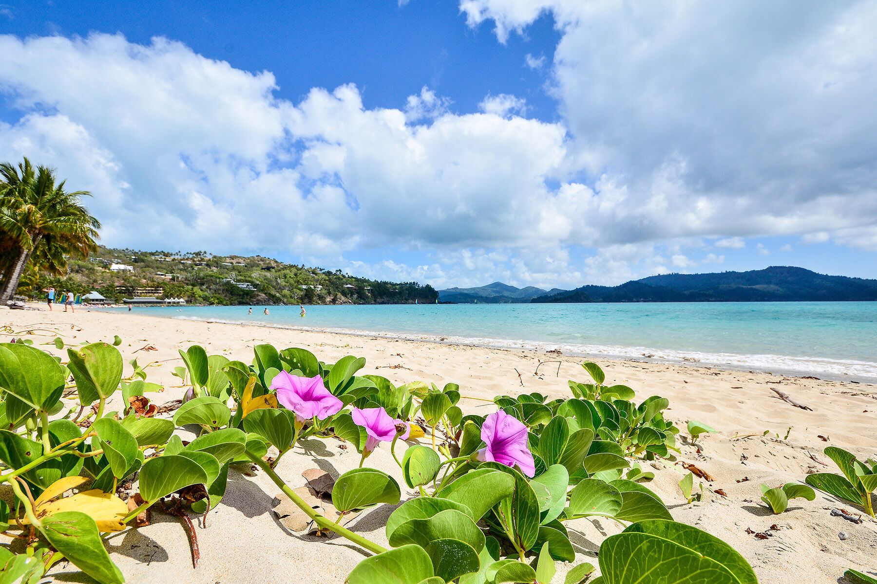 Panorama 10 - Excellent Value, 2 Bedroom Unit