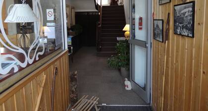 Hotel Le Dauphin